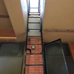 Roof Access Ladder